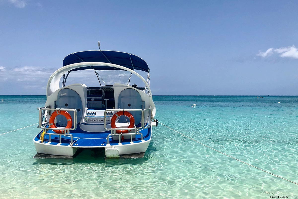 Dive Deep with Jean-Michel Cousteau: Protecting Our Oceans