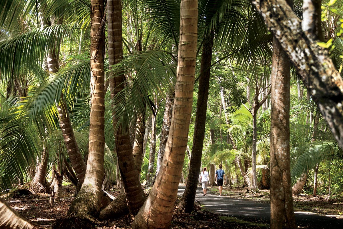 Dive Deep with Jean-Michel Cousteau: Protecting Our Oceans