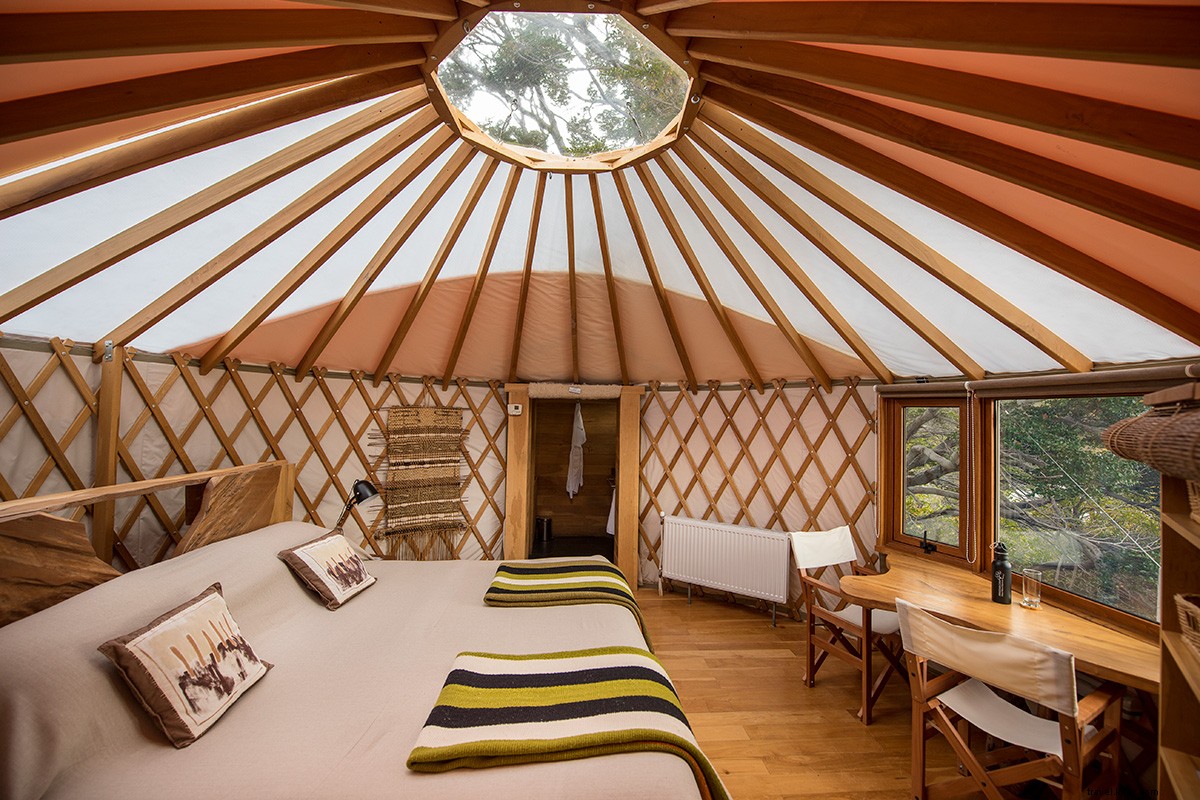 Survival of the Luxurious: Patagonia s Premier Wilderness Glamping Hotels