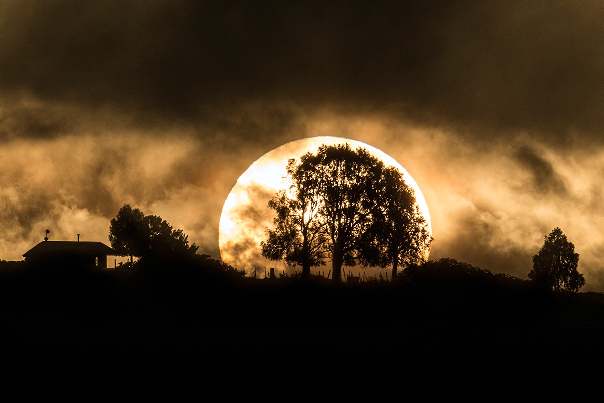 Survival of the Luxurious: Patagonia s Premier Wilderness Glamping Hotels