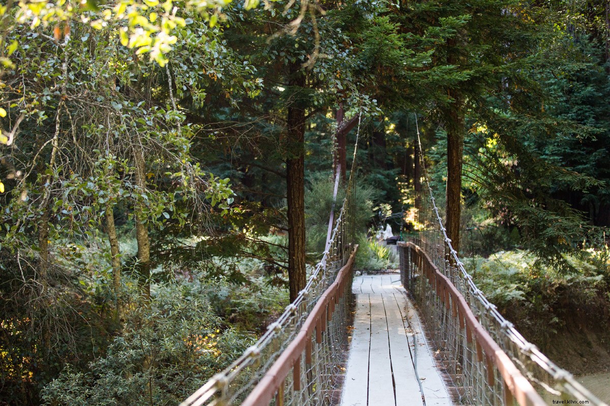 Unwind in Authentic Paradise: Glen Oaks Big Sur, Where True California Thrives