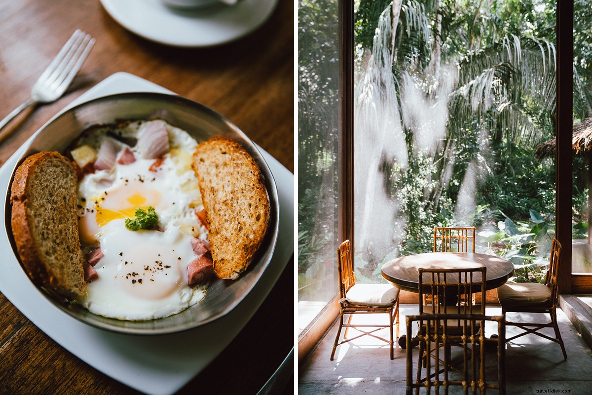 Channel Your Inner Indiana Jones: Adventure in Peru s Amazon Jungle