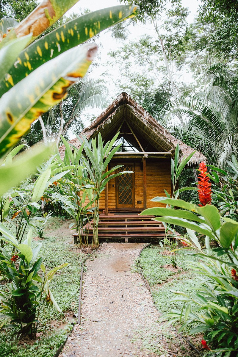 Channel Your Inner Indiana Jones: Adventure in Peru s Amazon Jungle