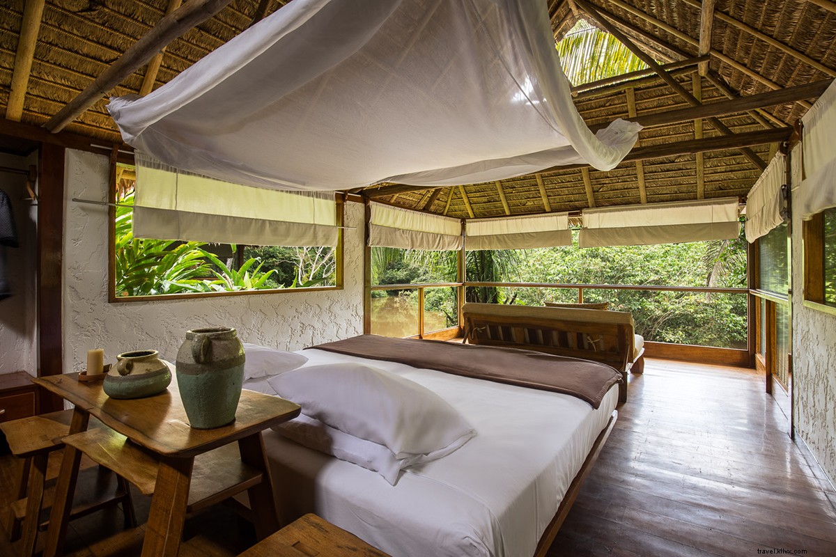 Channel Your Inner Indiana Jones: Adventure in Peru s Amazon Jungle