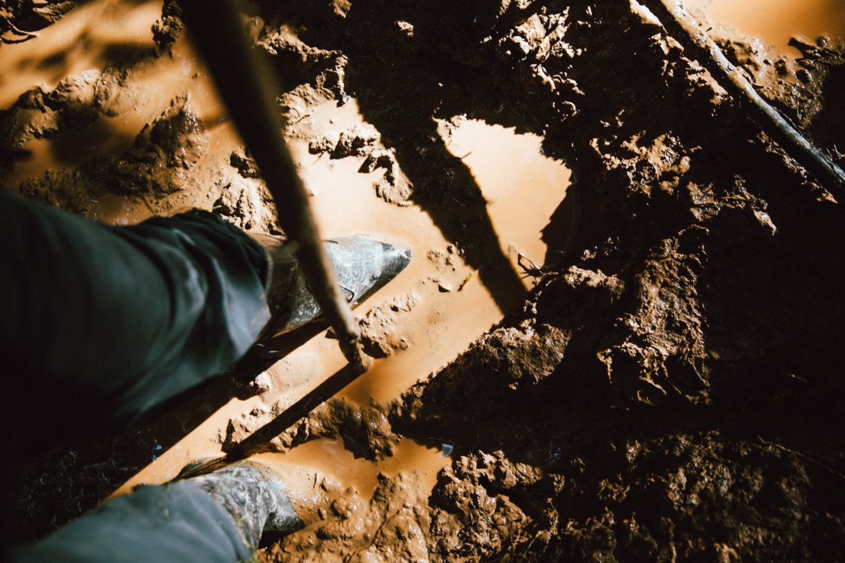 Channel Your Inner Indiana Jones: Adventure in Peru s Amazon Jungle