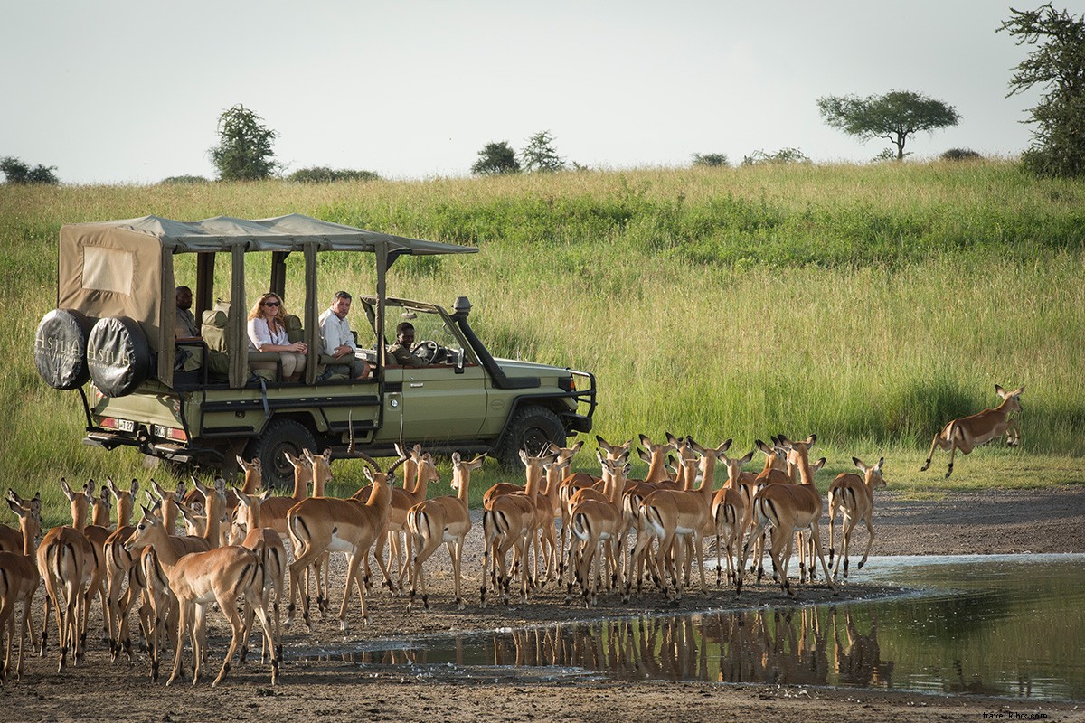 Angel Vendeline Namshali: Leading Africa s Only All-Women Safari Lodge in Tanzania s Serengeti