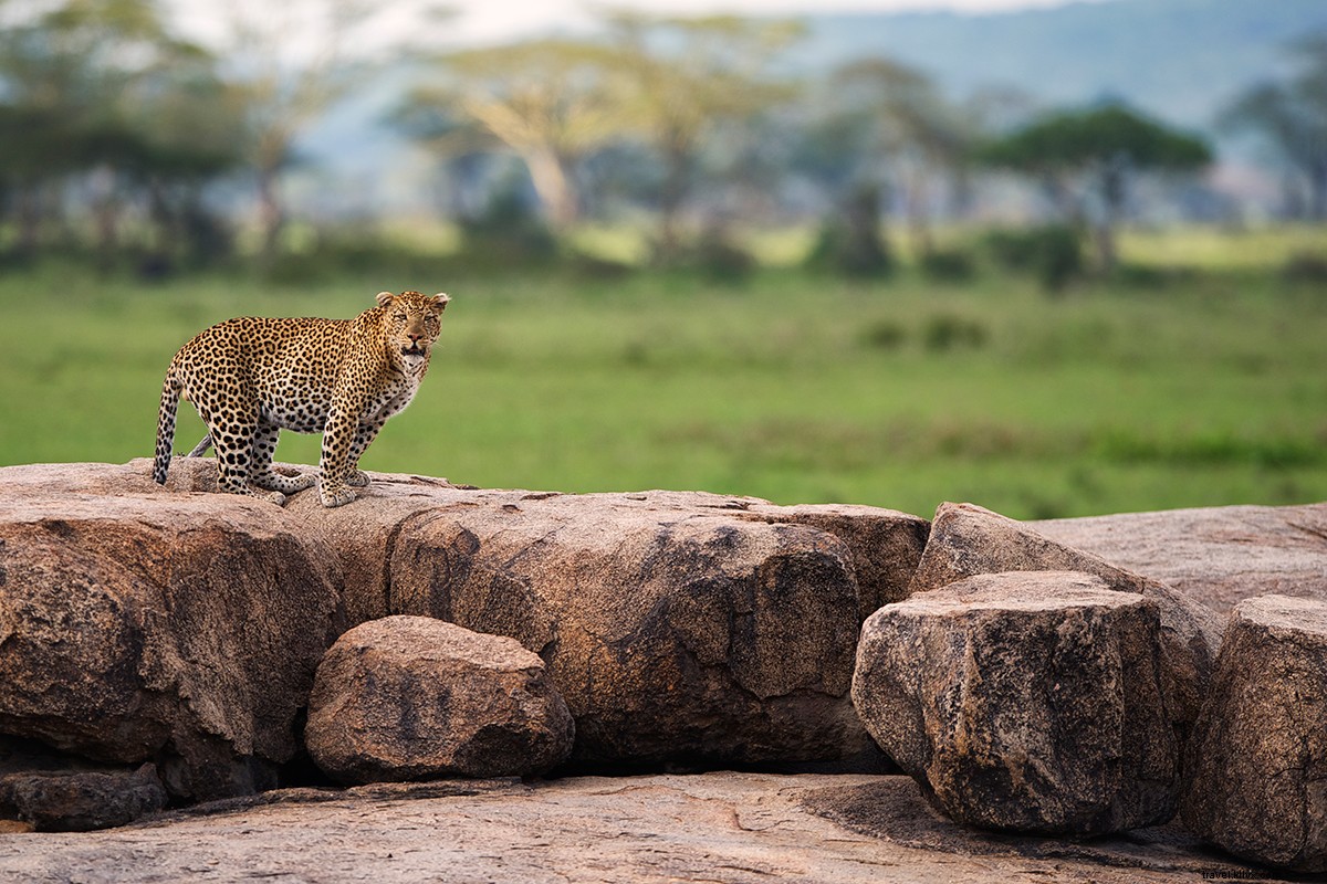 Angel Vendeline Namshali: Leading Africa s Only All-Women Safari Lodge in Tanzania s Serengeti