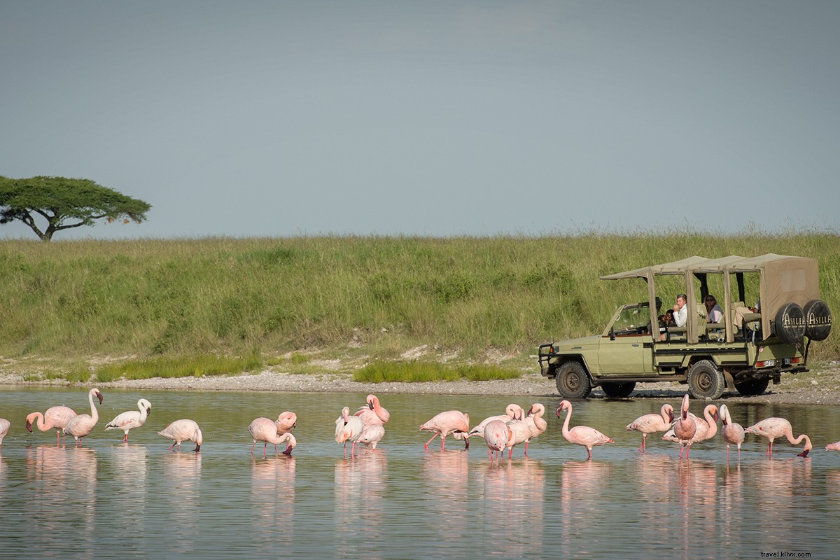 Angel Vendeline Namshali: Leading Africa s Only All-Women Safari Lodge in Tanzania s Serengeti