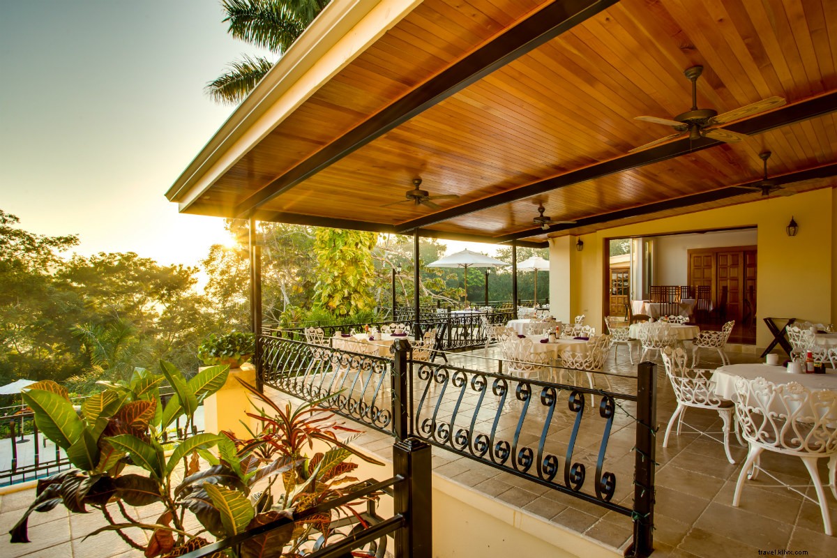 Luxury Jungle Retreat in Belize: Jacuzzi Suites & Gourmet Steakhouse