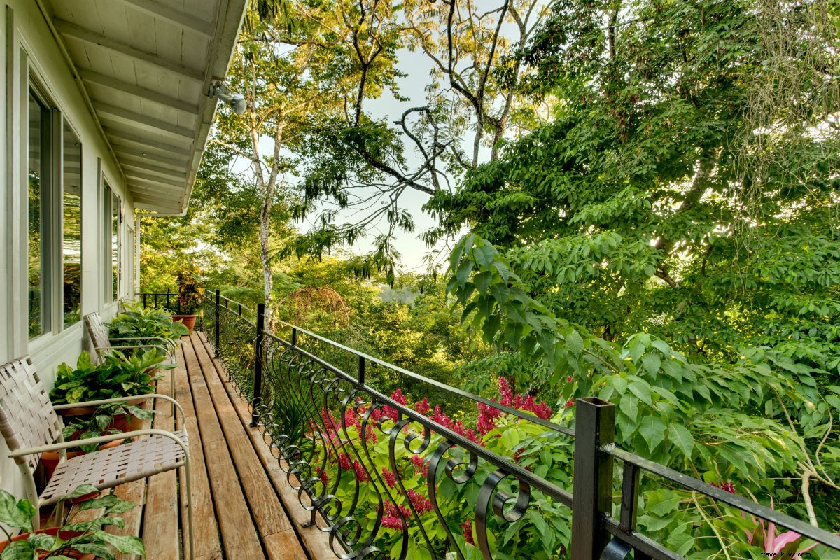 Luxury Jungle Retreat in Belize: Jacuzzi Suites & Gourmet Steakhouse