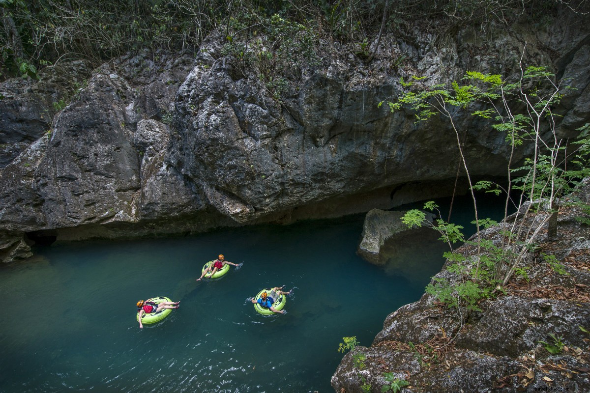 Luxury Jungle Retreat in Belize: Jacuzzi Suites & Gourmet Steakhouse