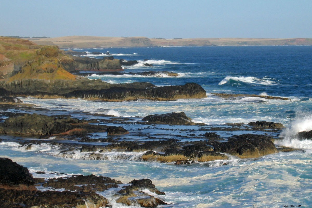 Ultimate Road Trip Guide: Explore Victoria, Australia – Wine, Wildlife & Culture