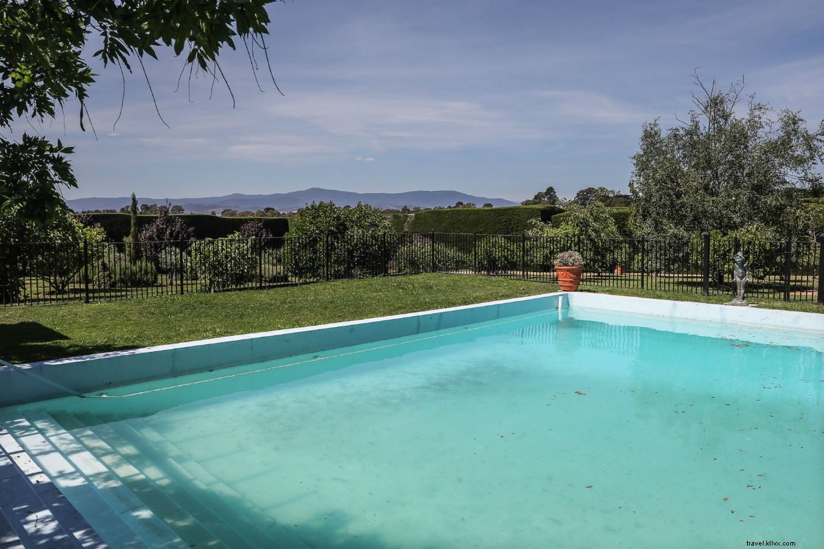 Ultimate Road Trip Guide: Explore Victoria, Australia – Wine, Wildlife & Culture