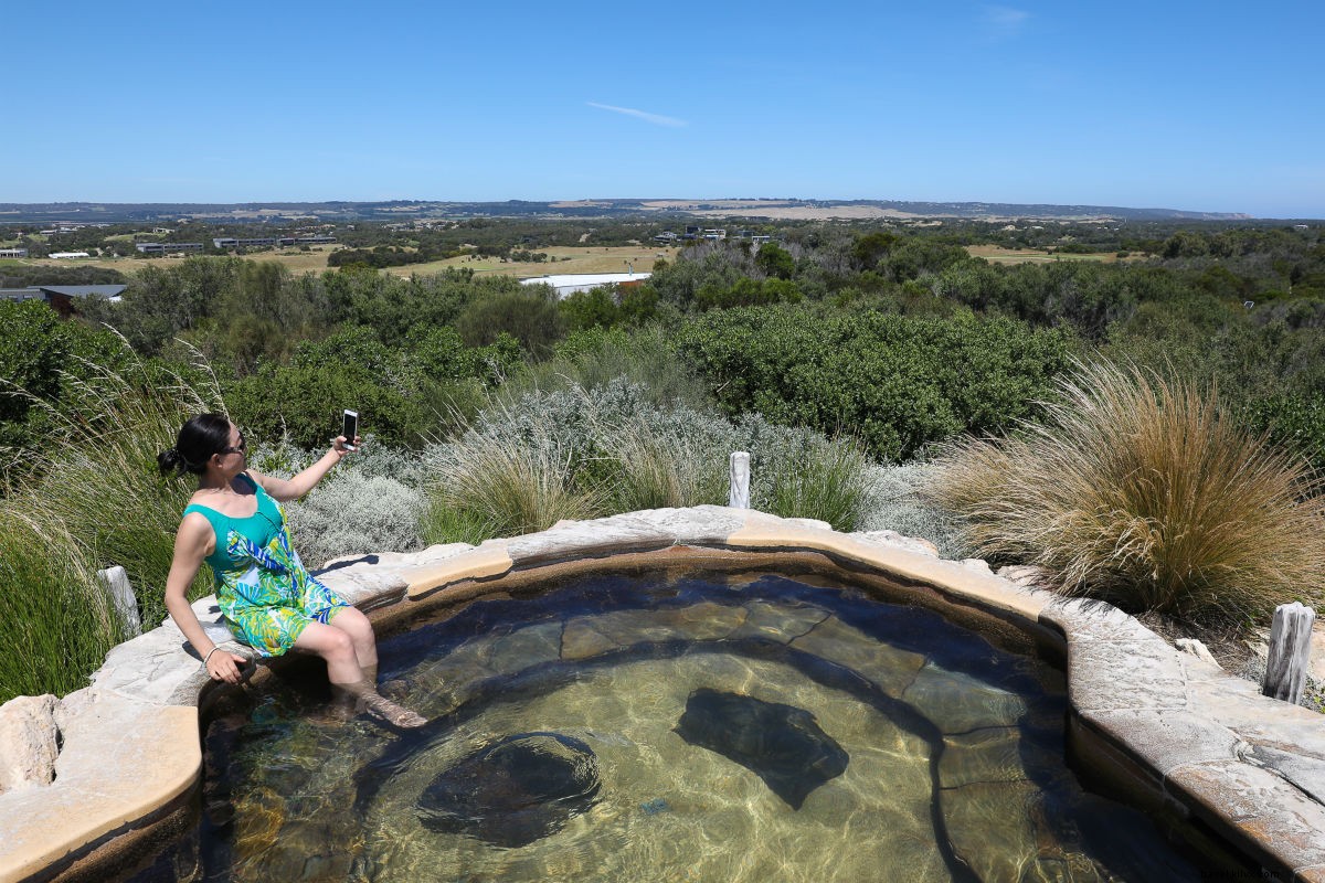 Ultimate Road Trip Guide: Explore Victoria, Australia – Wine, Wildlife & Culture