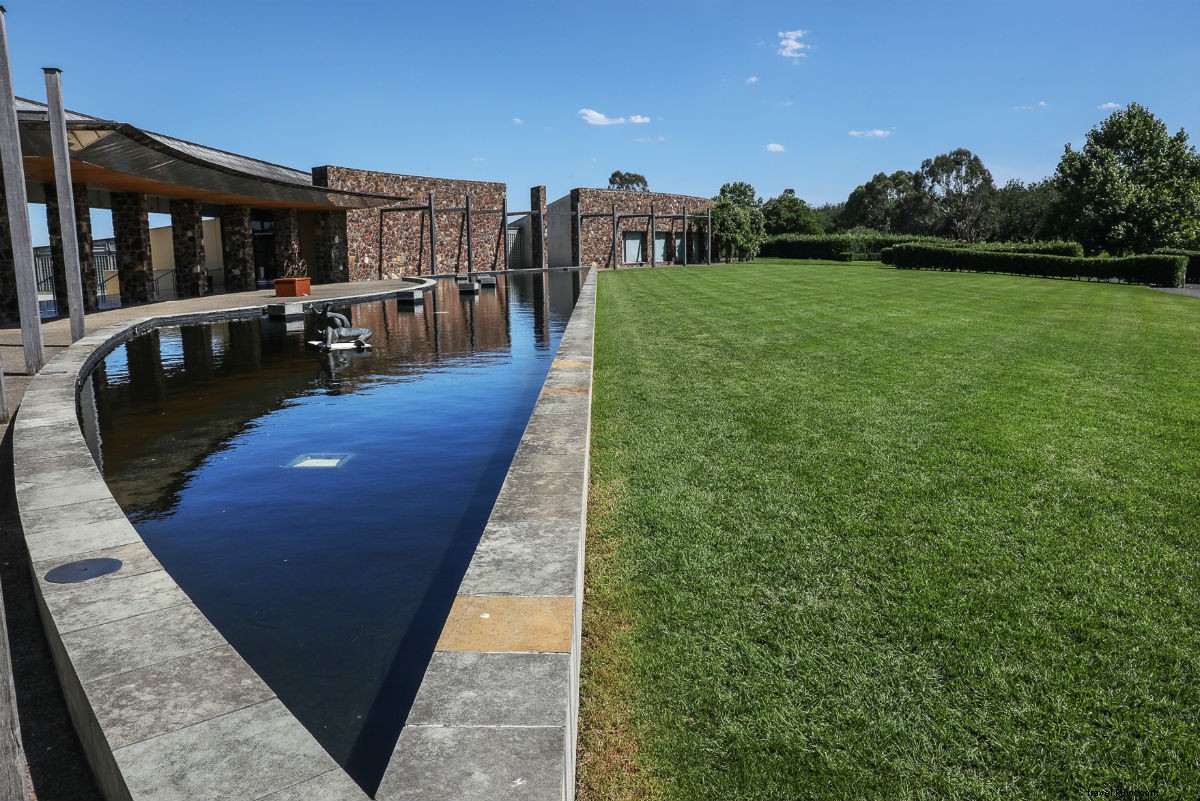 Ultimate Road Trip Guide: Explore Victoria, Australia – Wine, Wildlife & Culture