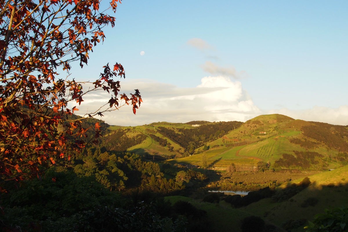 Live the Middle-earth Magic: Top 6 Must-Visit Spots on New Zealand s North Island