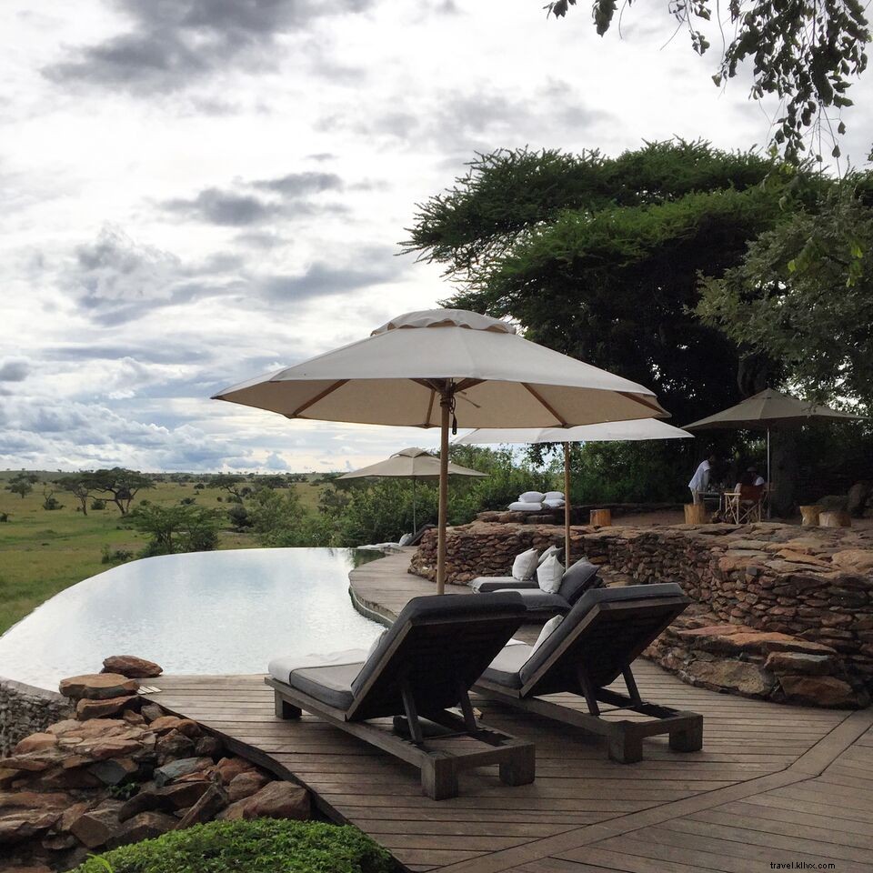 Stunning Safari Photos: Dreamy Adventures in Serengeti National Park