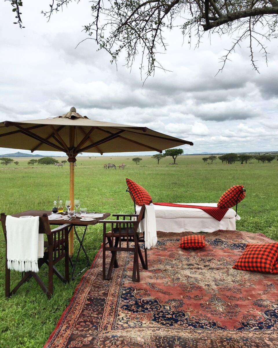 Stunning Safari Photos: Dreamy Adventures in Serengeti National Park