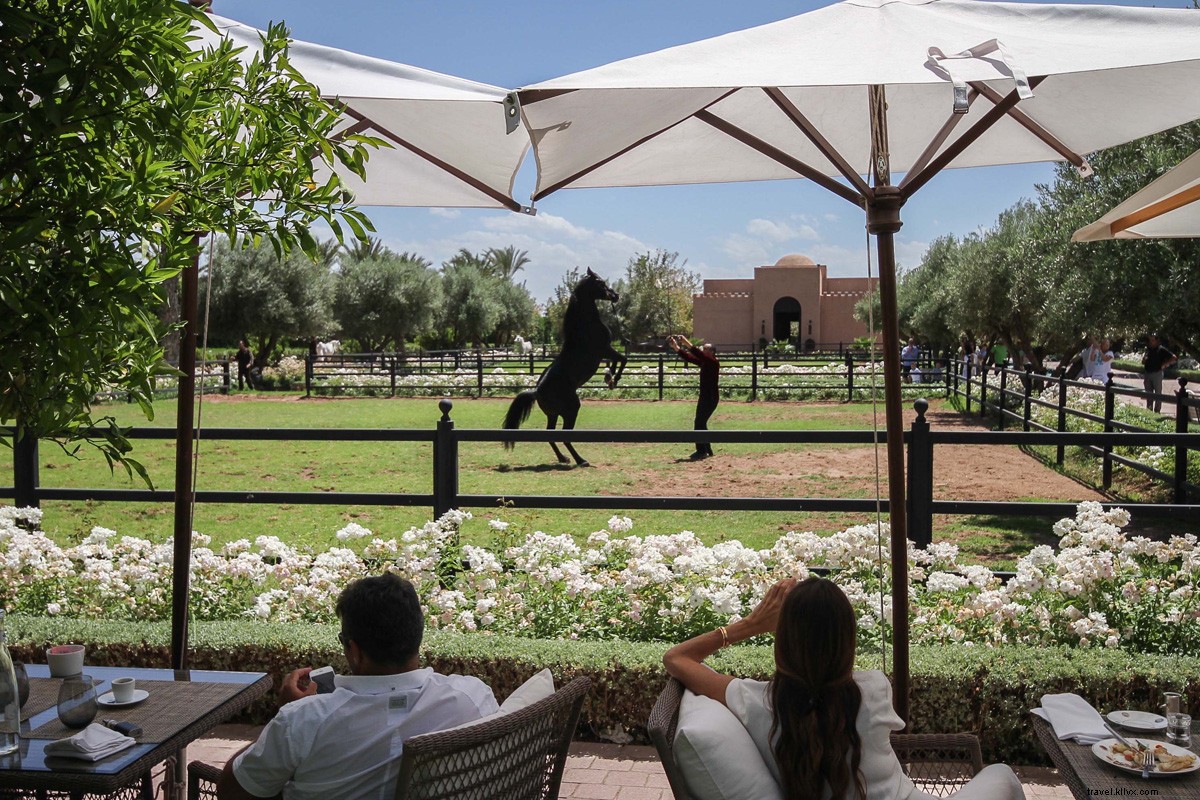 Ride Like the Wind: The Epic History of Horseback Travel