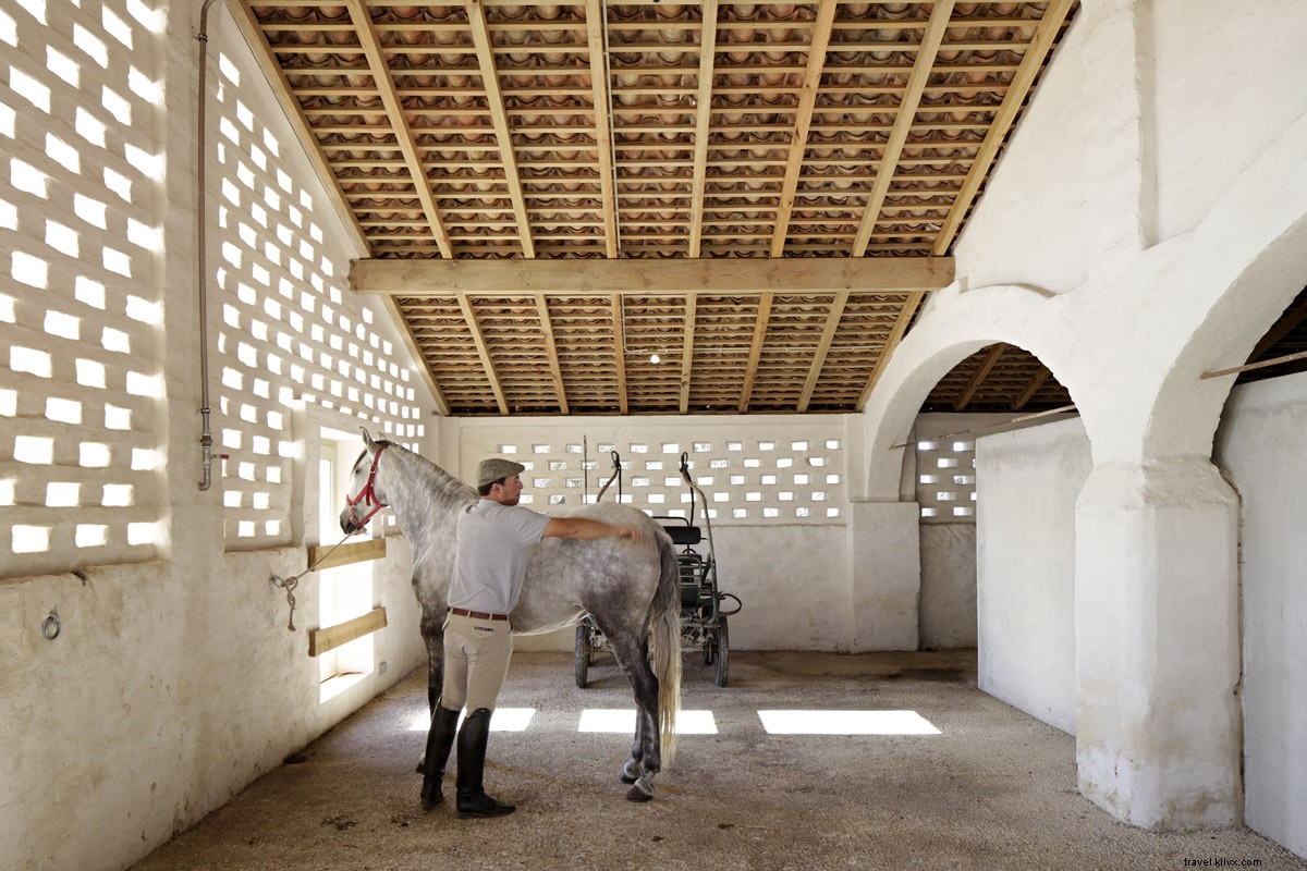 Ride Like the Wind: The Epic History of Horseback Travel