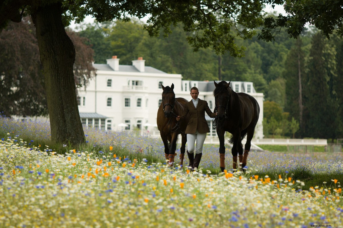 Ride Like the Wind: The Epic History of Horseback Travel