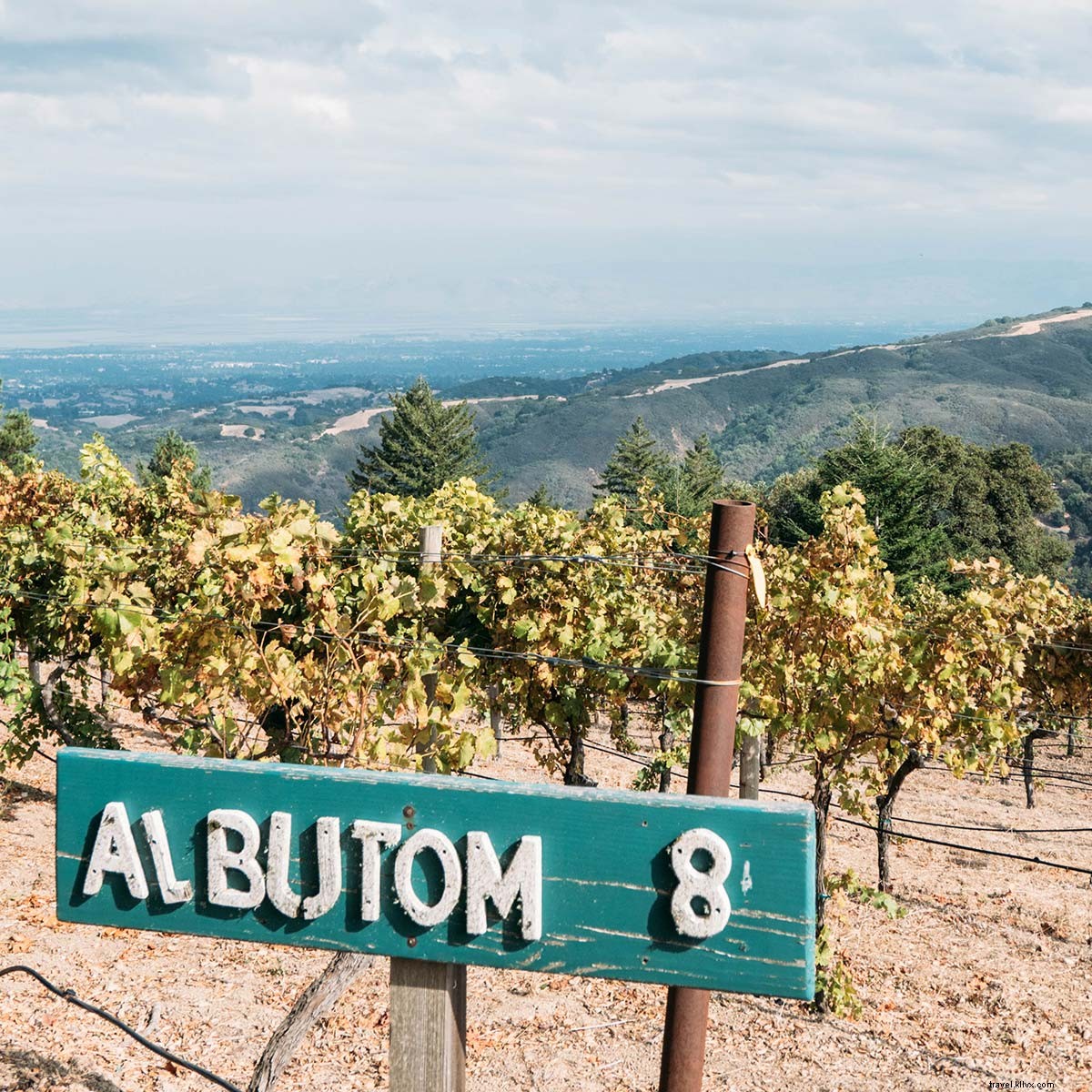 Discover Half Moon Bay: Stunning Coastal Views and Gourmet Eats Just an Hour from San Francisco