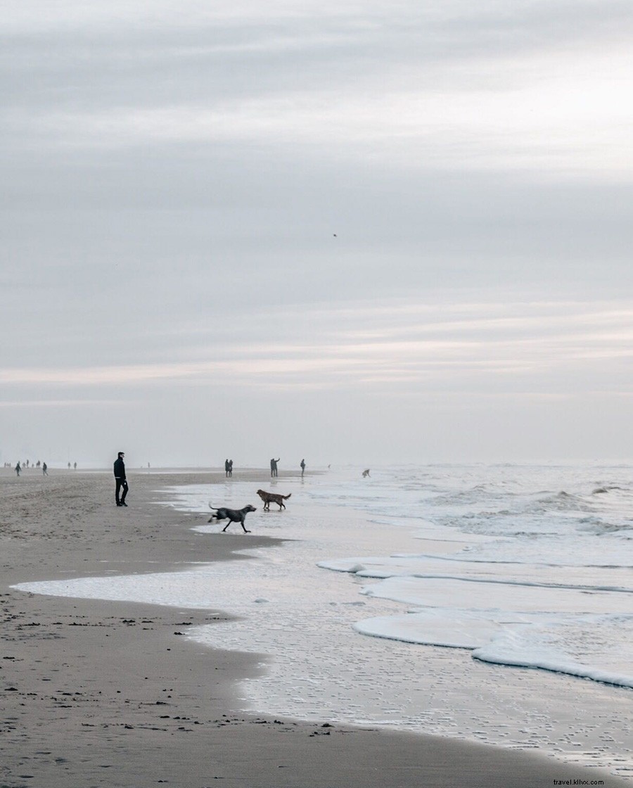 Sisilia Tiseli: Capturing Faraway Wonders in Soothing Hues