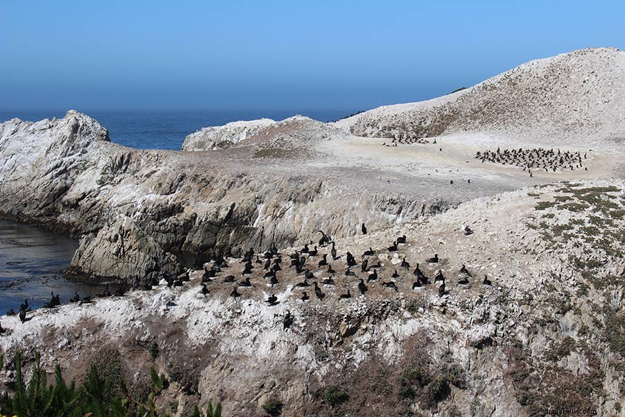 Big Sur Awaits: Why Now Is the Perfect Time to Visit California s Stunning Coast