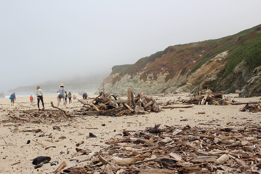 Big Sur Awaits: Why Now Is the Perfect Time to Visit California s Stunning Coast