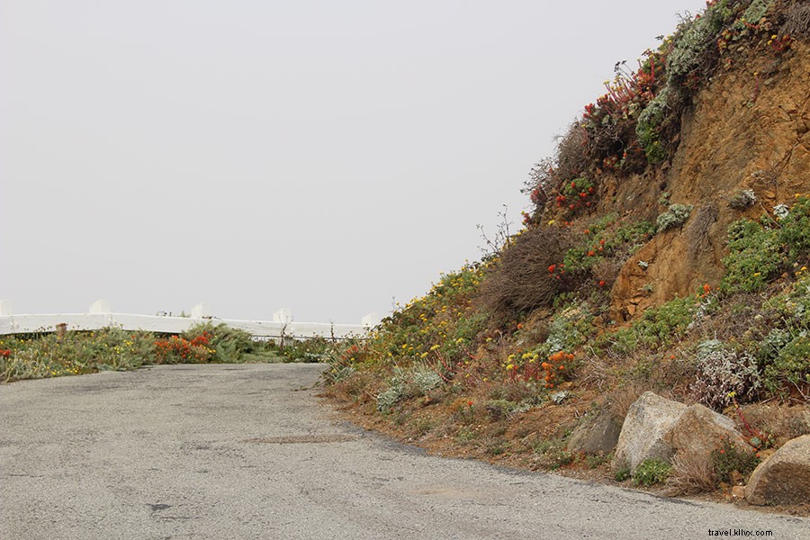 Big Sur Awaits: Why Now Is the Perfect Time to Visit California s Stunning Coast