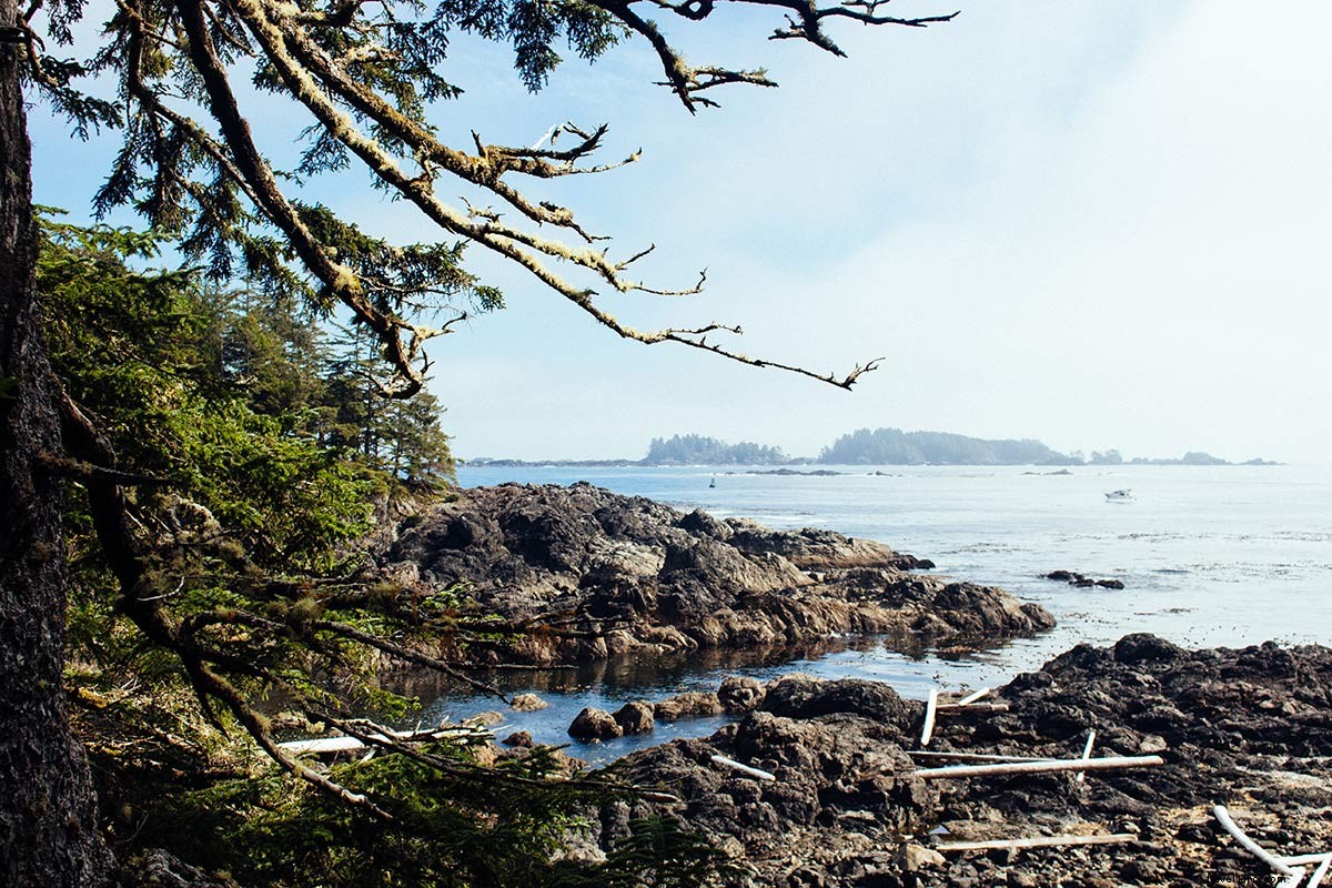 Dreaming of Canada? Escape to Tofino on Vancouver Island s Wild Edge