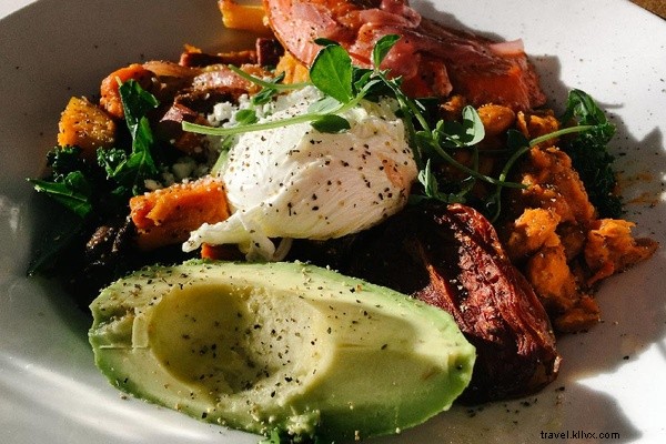 Witness 3,000+ Bald Eagles: Epic Bird-Watching in Squamish, British Columbia