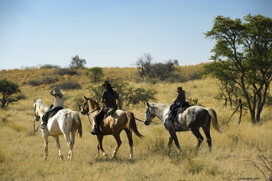 Tswalu: South Africa s Luxe, Low-Key Safari Redefined in the Kalahari