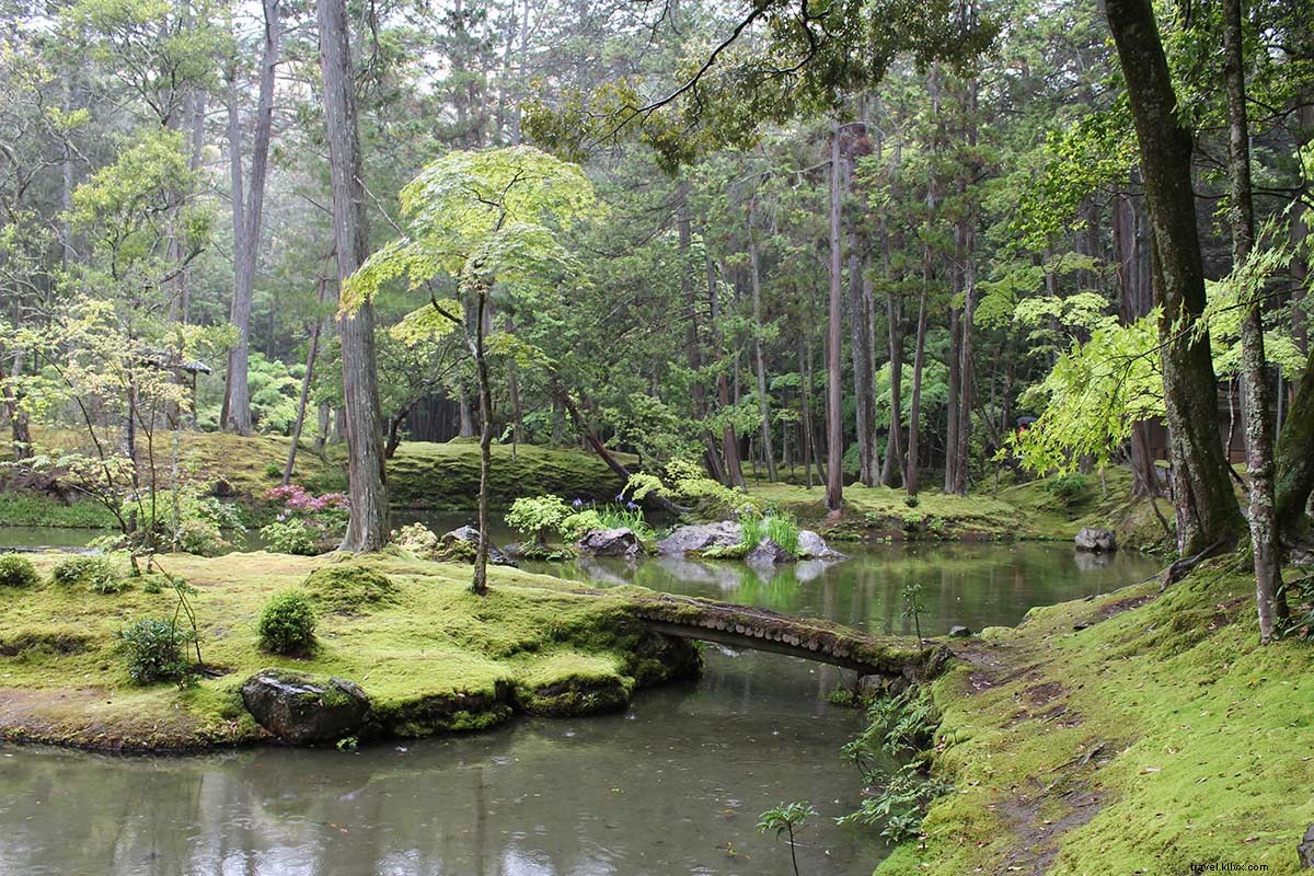 Discovering Paradise: Kyoto s Iconic Moss Temple and Zen Garden