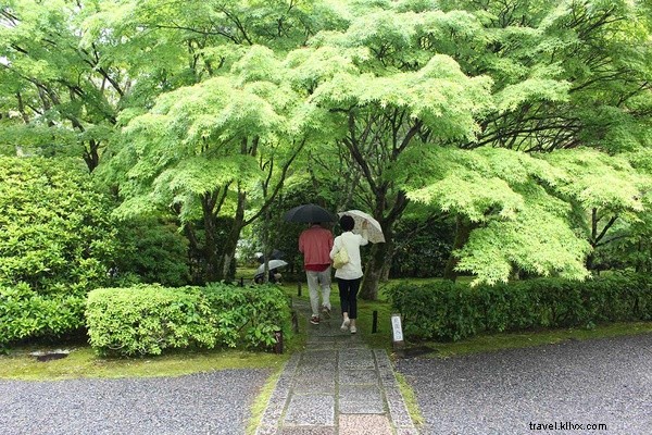 Discovering Paradise: Kyoto s Iconic Moss Temple and Zen Garden