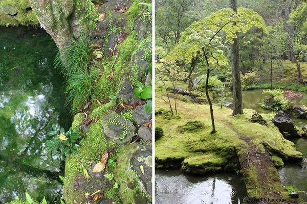 Discovering Paradise: Kyoto s Iconic Moss Temple and Zen Garden