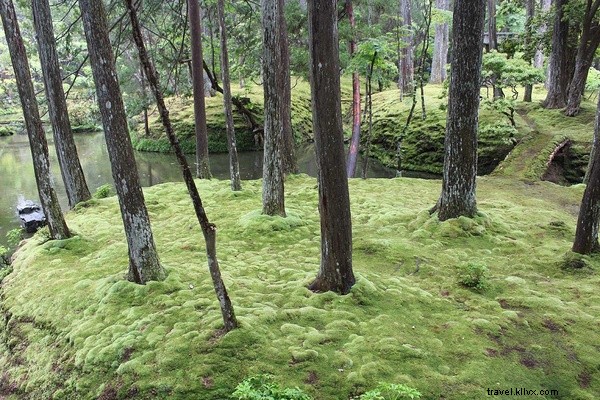 Discovering Paradise: Kyoto s Iconic Moss Temple and Zen Garden