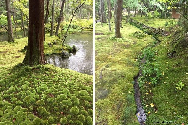 Discovering Paradise: Kyoto s Iconic Moss Temple and Zen Garden