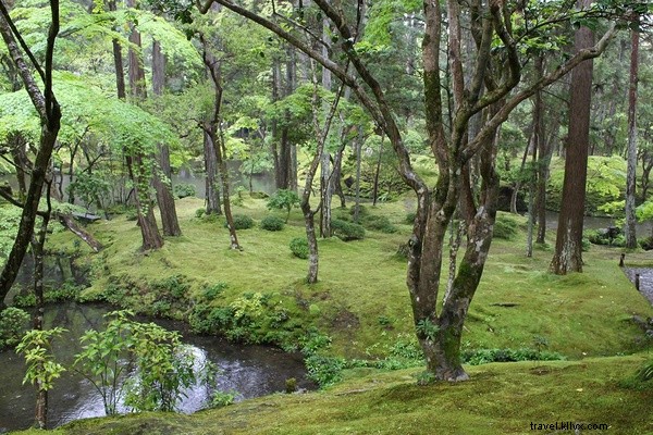 Discovering Paradise: Kyoto s Iconic Moss Temple and Zen Garden