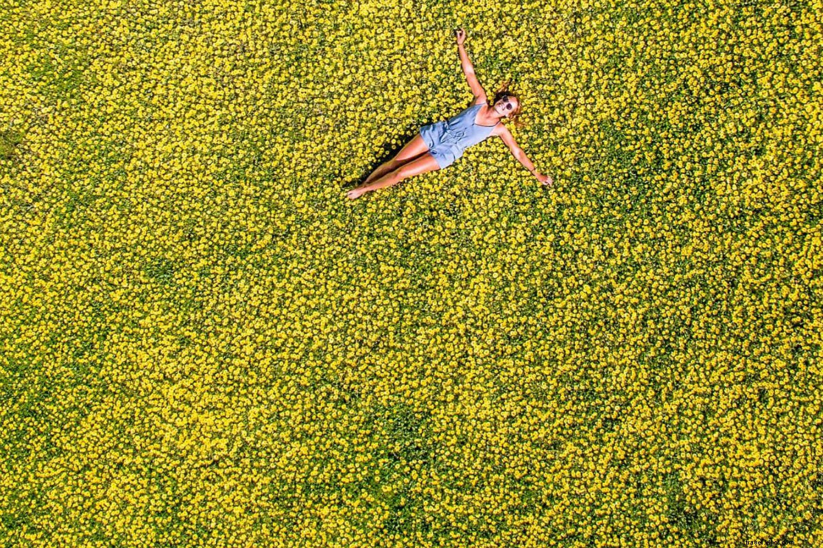 Discover Kangaroo Island: Australia s Wildlife Paradise Just a Quick Hop Away