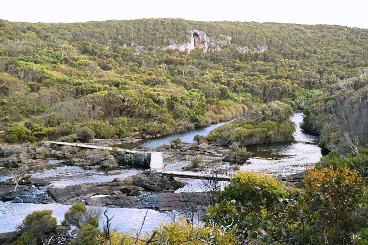 Discover Kangaroo Island: Australia s Wildlife Paradise Just a Quick Hop Away