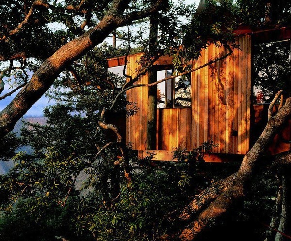 Elevate Your Stay: Treehouse Luxury at Post Ranch Inn, Big Sur
