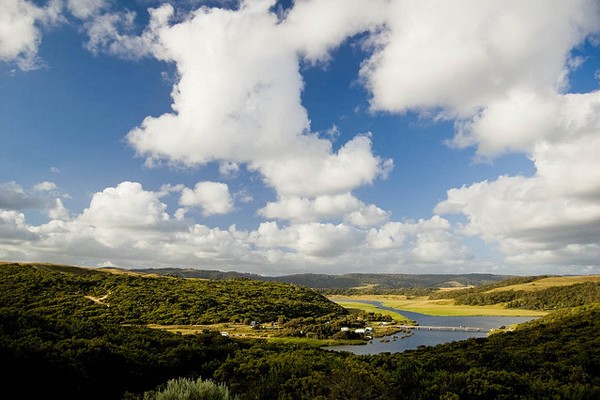 Koalas, Nightmares, and Sleepless Nights: The Sounds of an Australian Summer