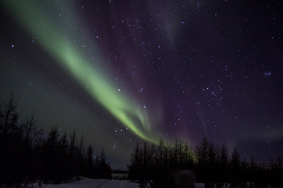 Escape Iceland s Crowds: Why Off-Season Travel is Unmissable