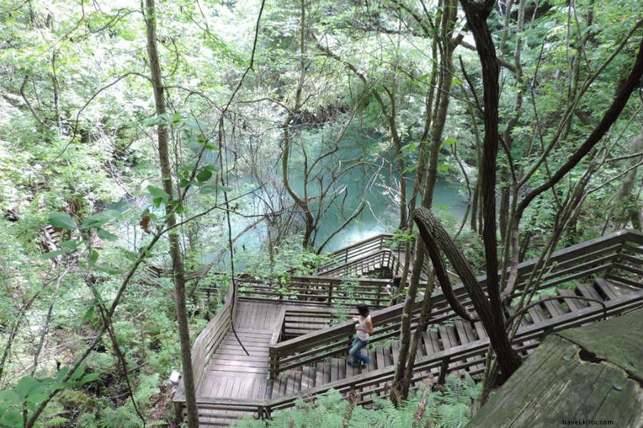 Discover 5 Breathtaking American Landscapes to Transform Your Perspective