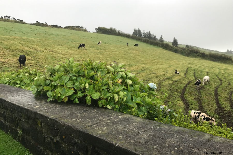 Discover the Azores: Portugal s Stunning Hawaii of the Atlantic