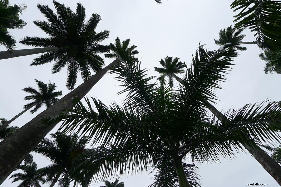 Rio de Janeiro: Breathtaking Highs, Lows, Skies, and Surf