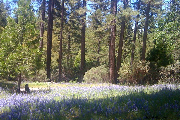 Just Back from California s High Sierras: A Hotelier s Insider Adventure