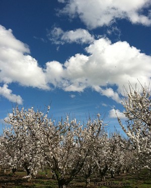 Just Back from California s High Sierras: A Hotelier s Insider Adventure