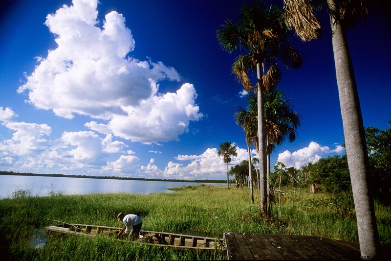 Reality Bites: Thrilling Adventures in Brazil s Pantanal Jungle